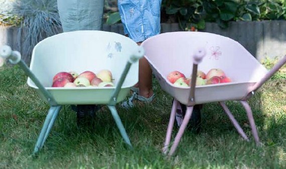 image de la Collection 